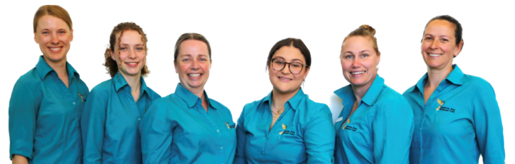 Nursing staff – Lauren, Ellen, Karen, Kayla, Amanda and Evie